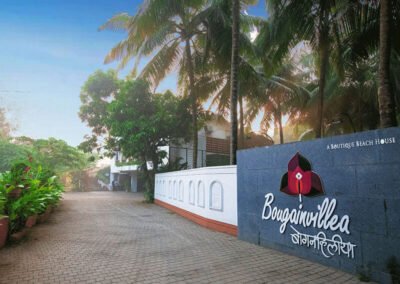 Bougainvillea, Alibaug